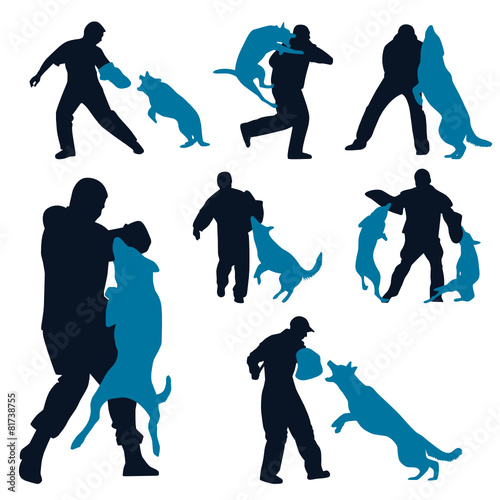 German Shepherd dogs at training