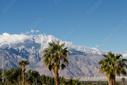 wintering in California photo