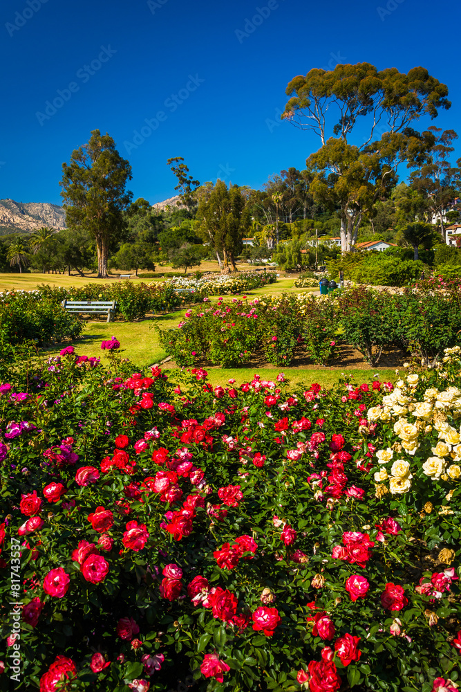 Gardens at Mission Park, in Santa Barbara, California.