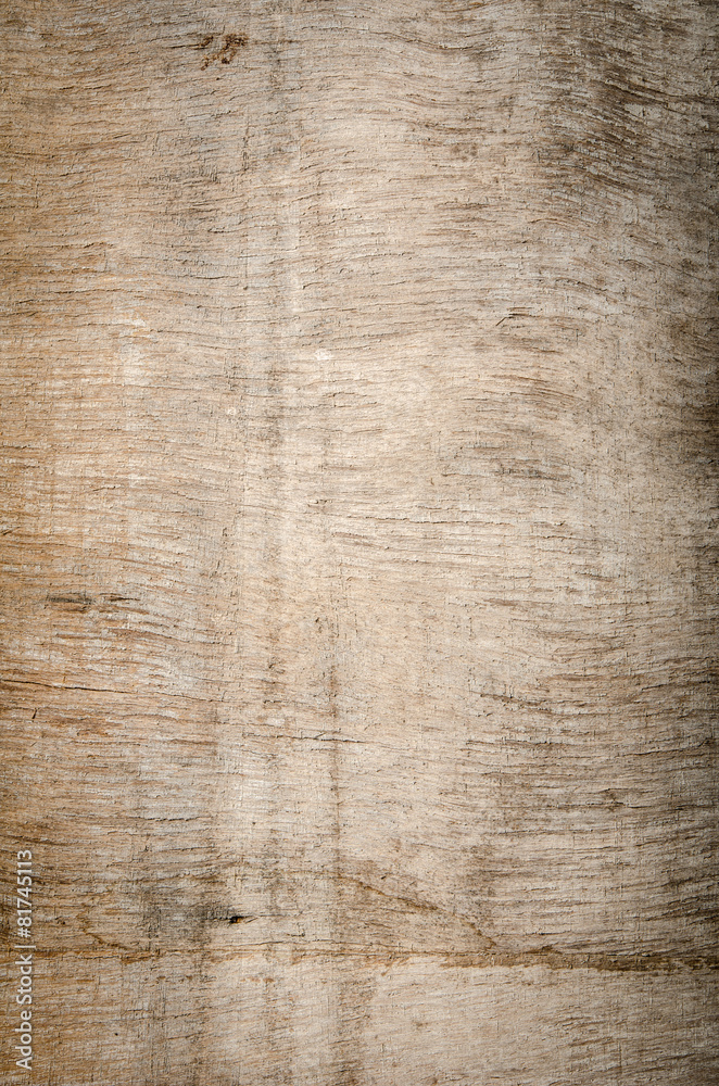 Fototapeta premium Grunge wood