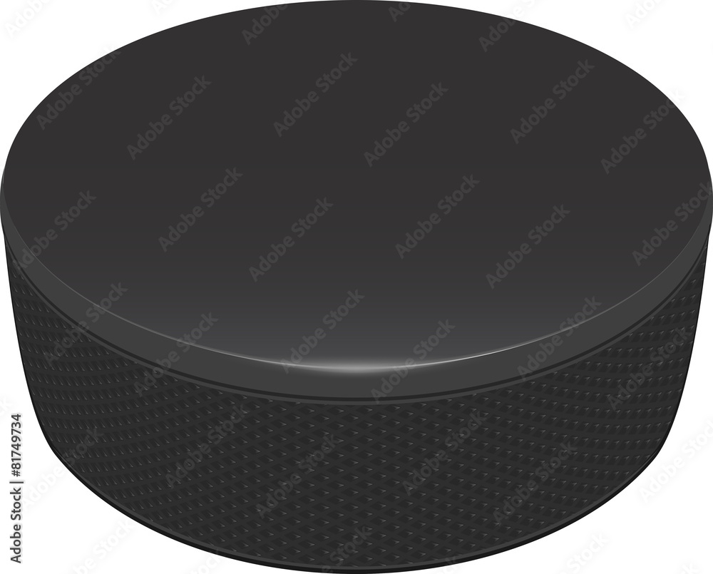 Fototapeta premium hockey puck
