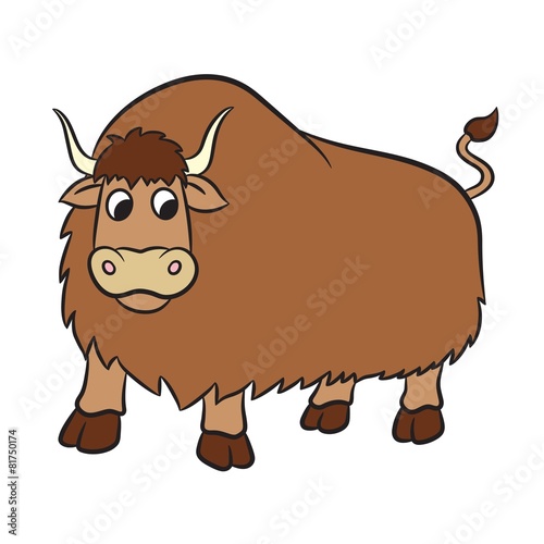 Illustration of yak on a white background. Vector photo