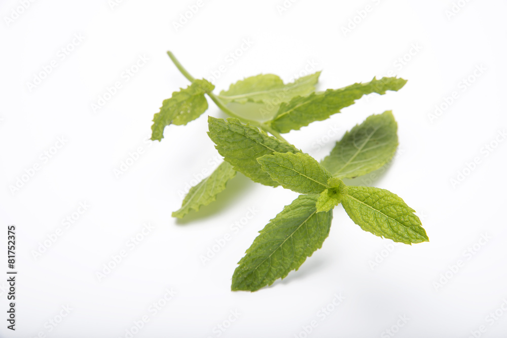 Obraz premium Mint leaves isolated on white background