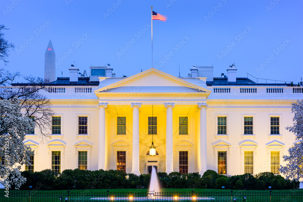 White House in Washington, D.C. - obrazy, fototapety, plakaty 