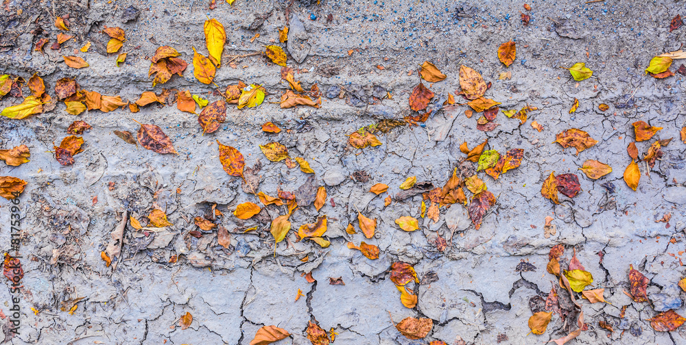 dry brown leaf on the cracked earth, Drought land dry brown leaf on the cracked earth, Drought land