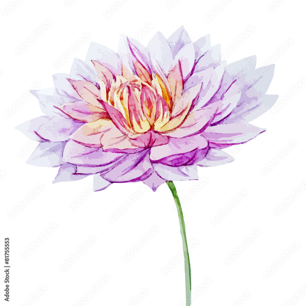 Obraz premium Watercolor dahlia flowers