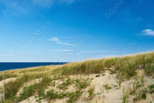 Landscape with sand dunes at Cape Cod