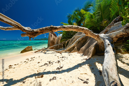 Fototapeta Naklejka Na Ścianę i Meble -  Beautiful beach at Seychelles