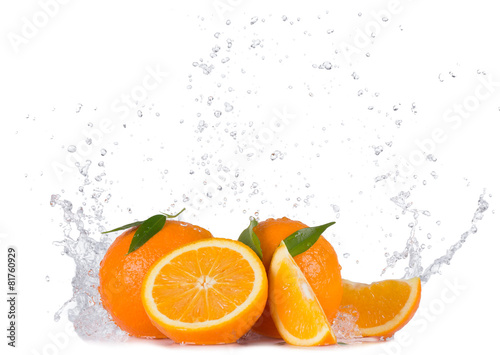 Oranges with water splashes on white background © Jag_cz