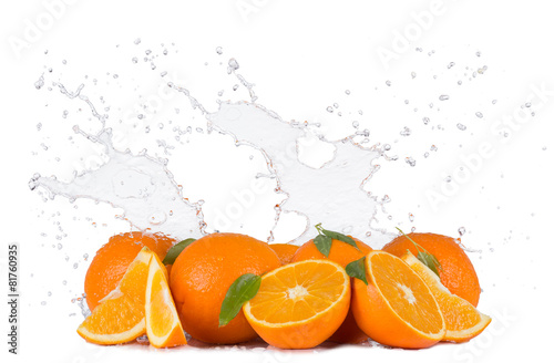 Oranges with water splashes on white background