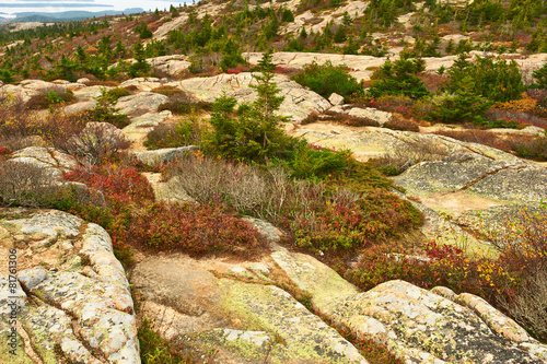 View from Caddilac Mountain in Acadia National Park photo