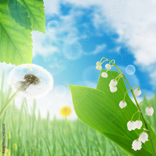 lily of the valley