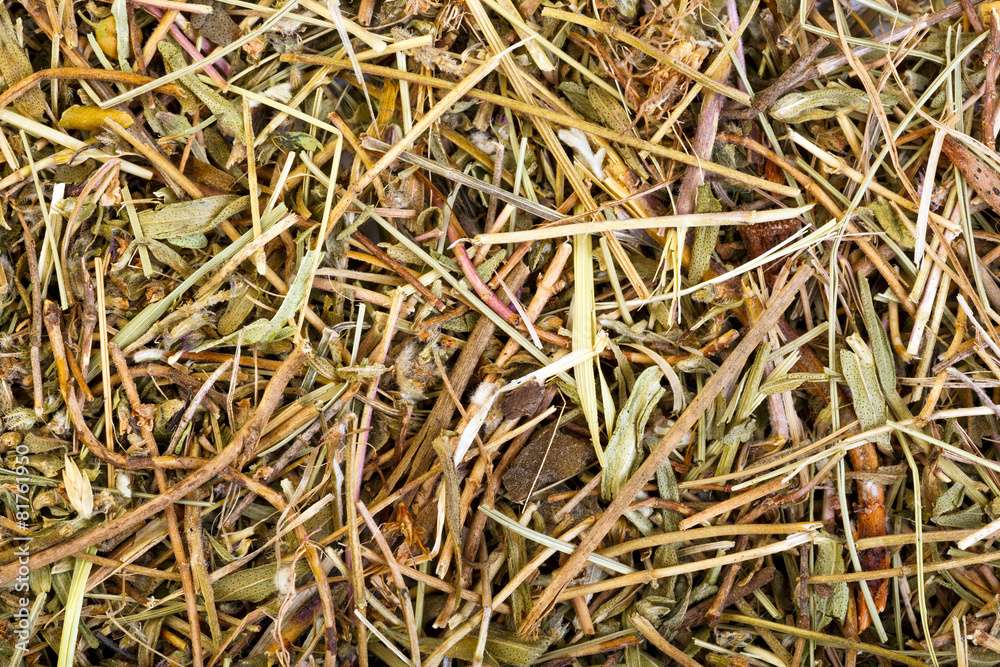Herb thyme to use as food background. Herb thyme to use as food background.