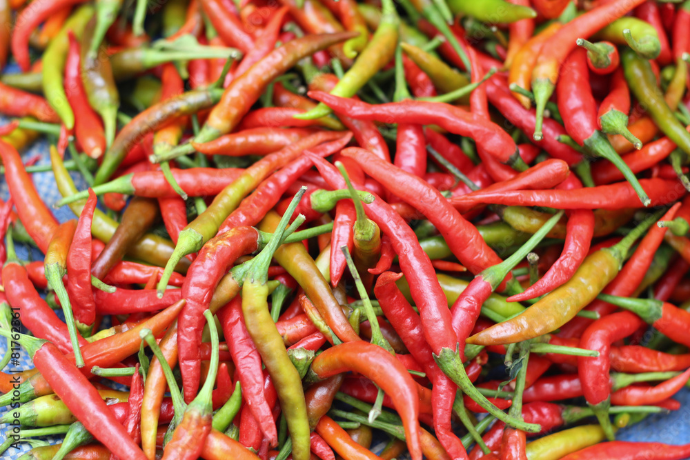 Fresh chili in the market