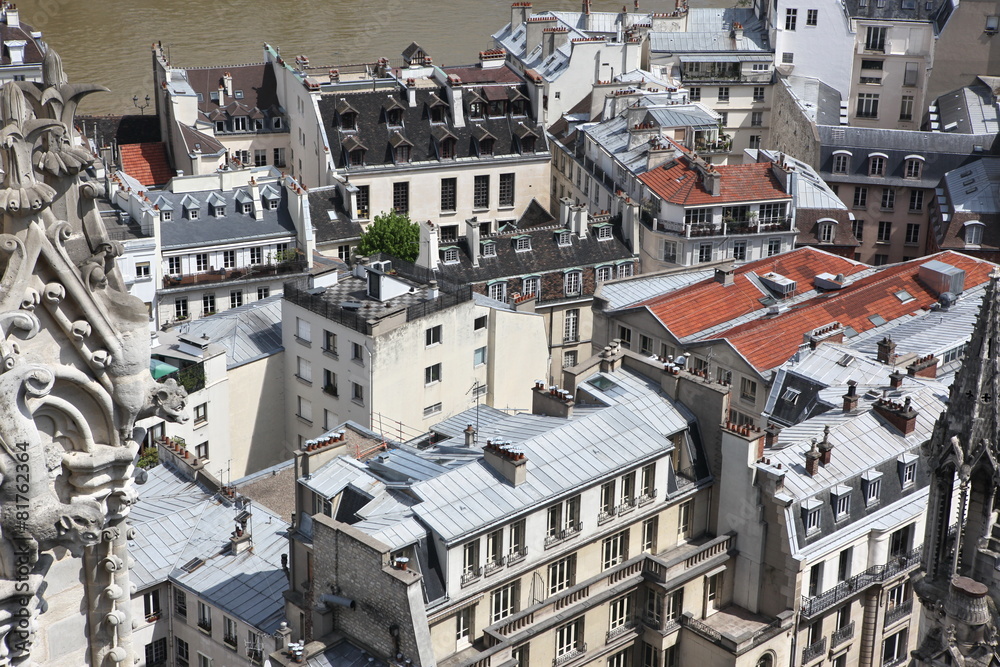 View on Paris form Notre Dame cathedral
