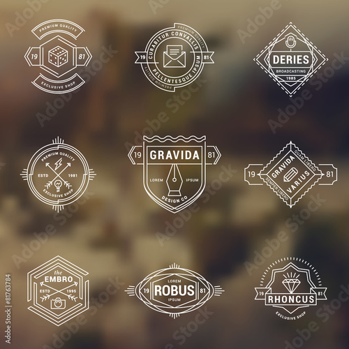 Set of Hipster Vintage Labels, Logotypes, Badges