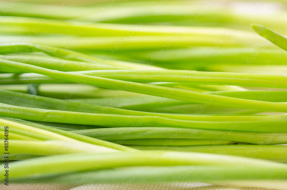 Bundle of green onions for background Bundle of green onions for background