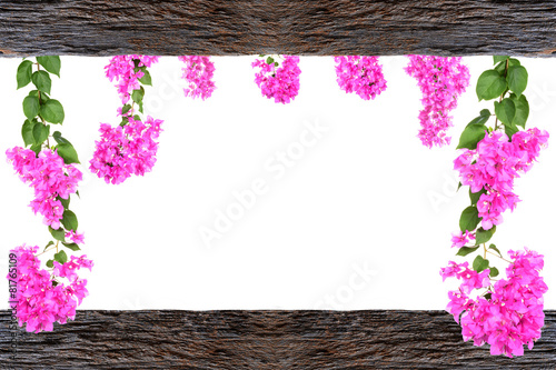 Design wooden photo frames with Bougainvillea flower branches is