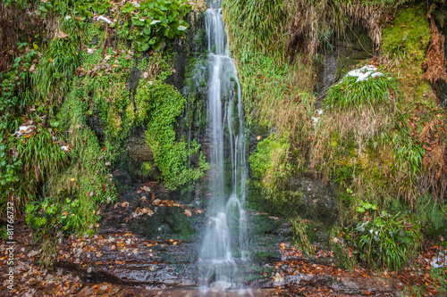 Sankenbachwasserfall  Baiersbronn