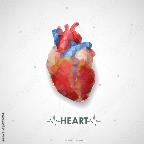 Abstract colored polygonal triangular human heart. Vector illust
