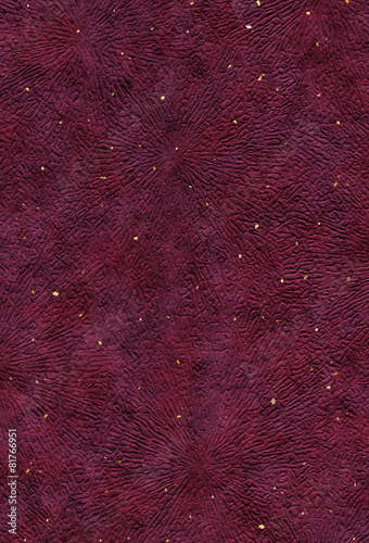 和紙のテクスチャ - Japanese paper