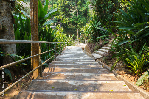 stairway in the forest