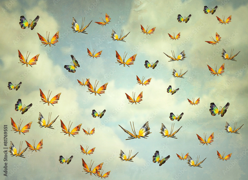 Butterflies in the sky Butterflies in the sky