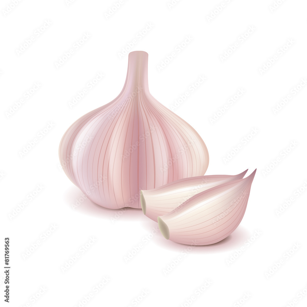 Garlic and slice isolated on white vector