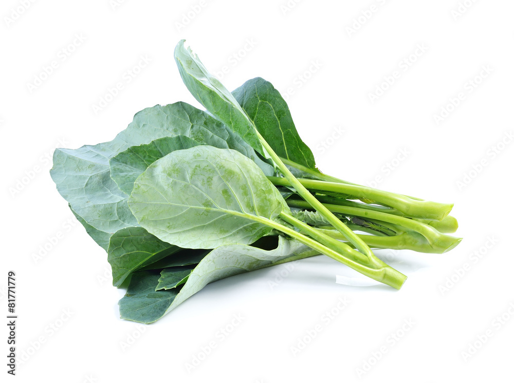 chinese broccoli on white background chinese broccoli on white background