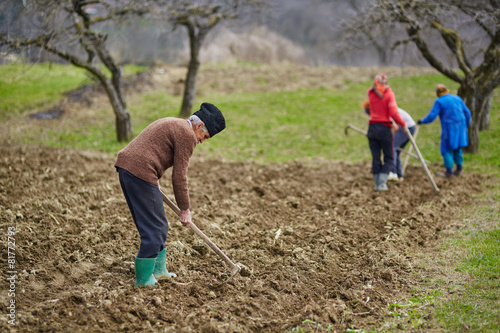 Bilde på lerret Family of peasants sowing potatoes