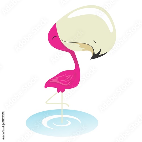 Flamingo