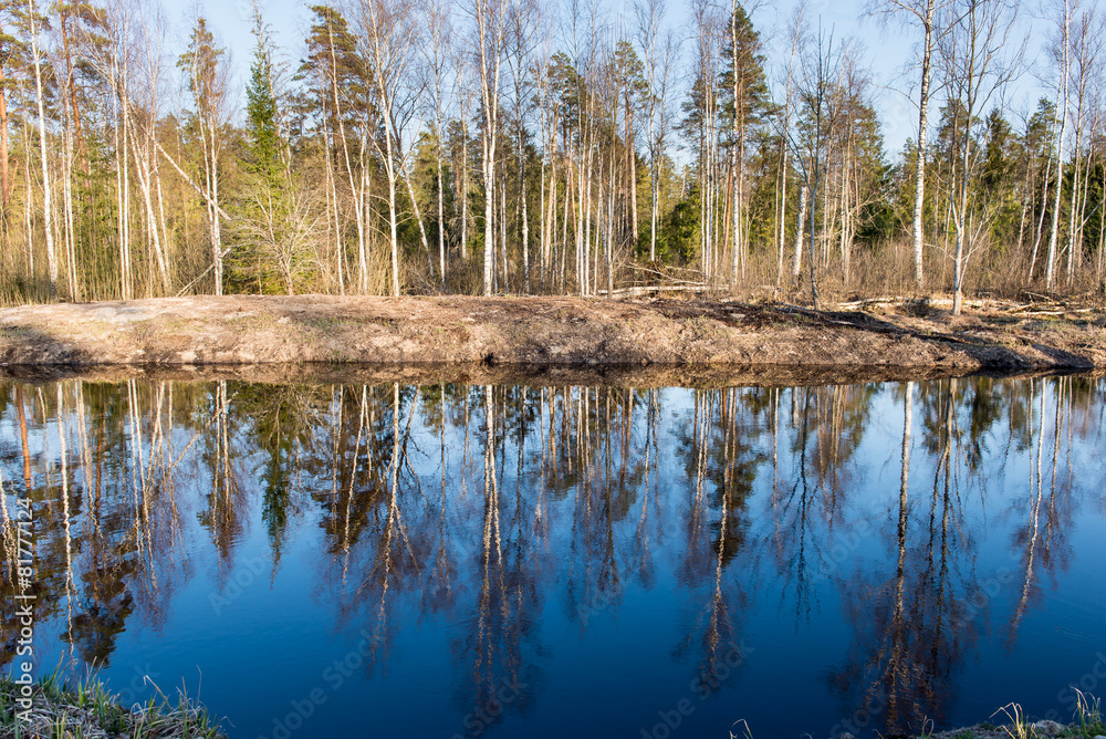 reflections of trees in water