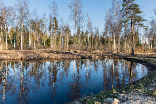 Fototapeta Naklejka Na Ścianę i Meble -  reflections of trees in water