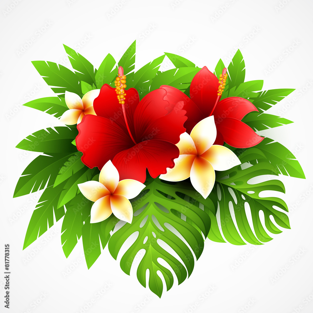 Vector illustration with tropical plants and flowers