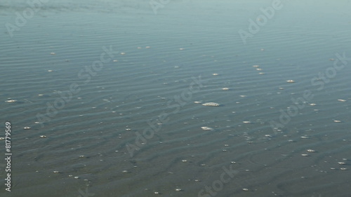 Water background