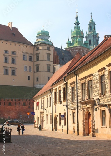 Wawel Castle in Krakow #81779970