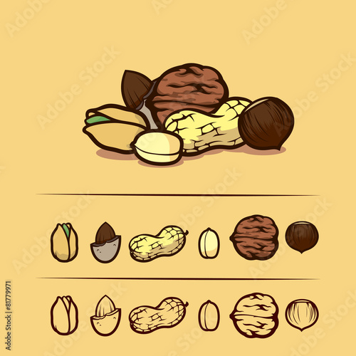 nuts