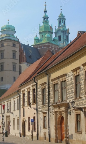 Wawel Castle in Krakow #81779972