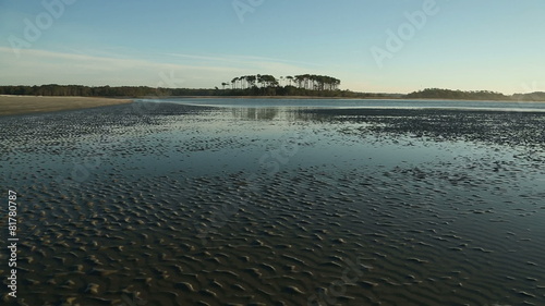 Morning tidal pools