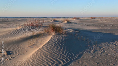Beach sand dunes