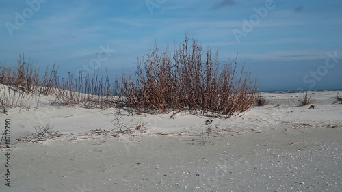 Winter sand dunes at Cherry Grove Beach, South Carolina