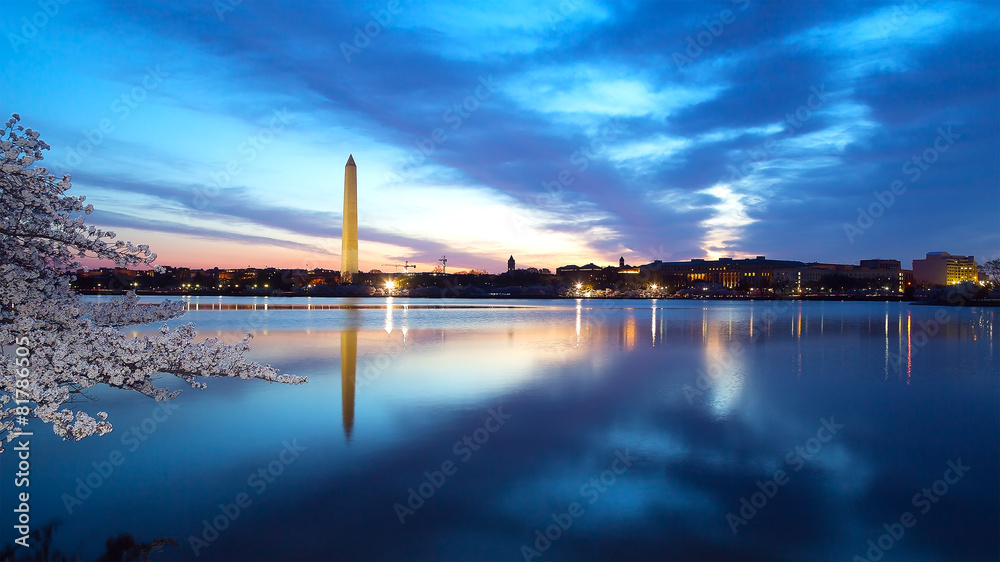 Washington Monument at night with cherry blossom - obrazy, fototapety, plakaty 