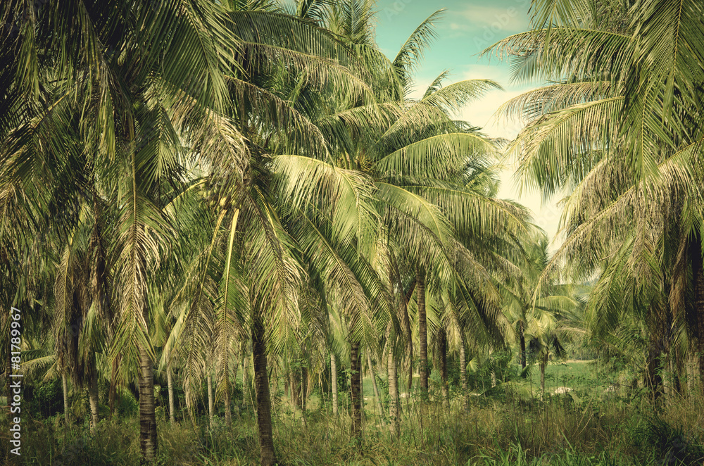 Naklejka premium Vintage palm trees