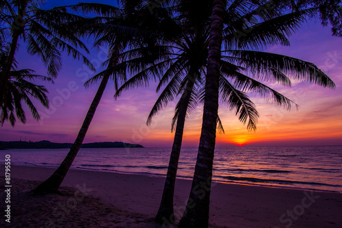 Palm trees silhouette at sunset © EwaStudio