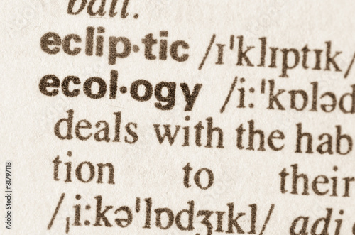 Dictionary definition of word ecology
