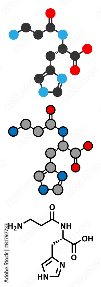 Carnosine molecule. Has antioxidant properties; 