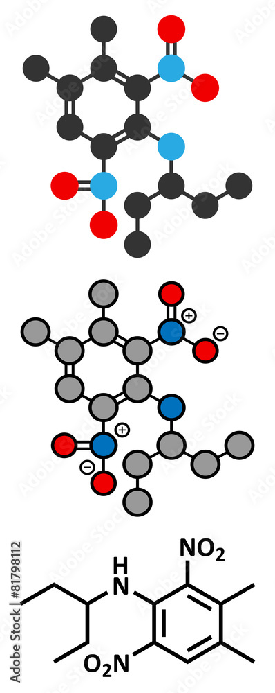 Pendimethalin herbicide molecule.