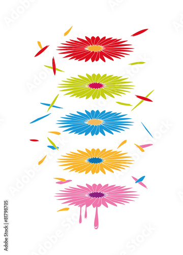 5 Blumen