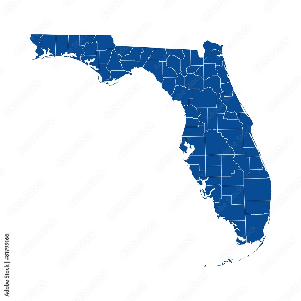 Naklejka premium Florida state - county map