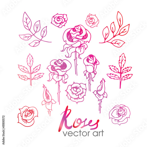 Set of Vintage Floral Hand-Sketched Elements. Flowers  Floral El